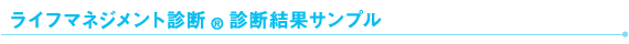 個人向けライフマネジメント診断サンプル